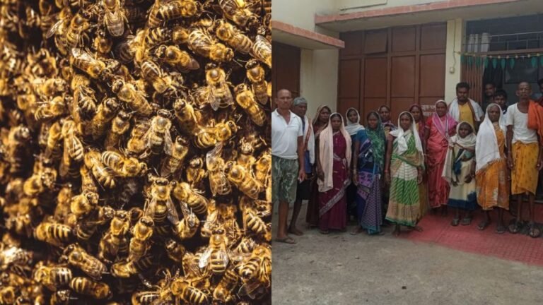 Bees-Attack-1-1024x576