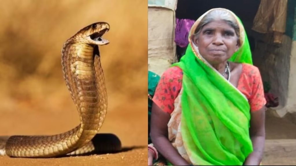 image-2025-06-23T000452.055-1024x576