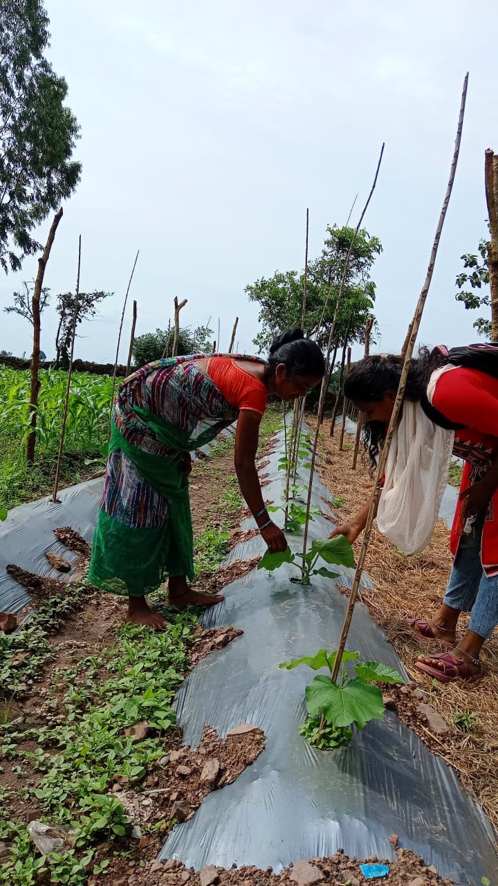 1752996456_59ebdd6e08d118b1c4a3