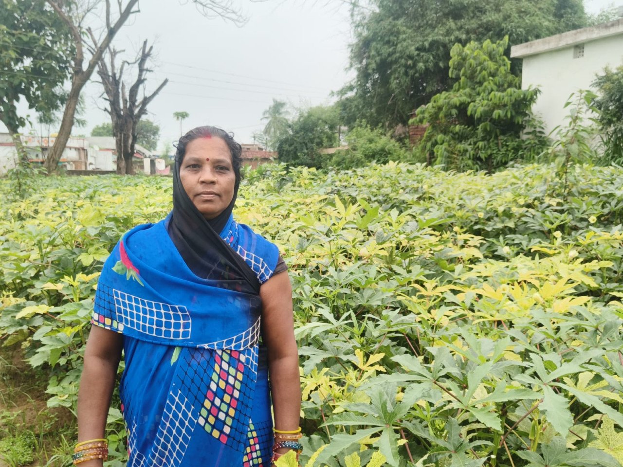 1753776018_7437ec50269977244d38