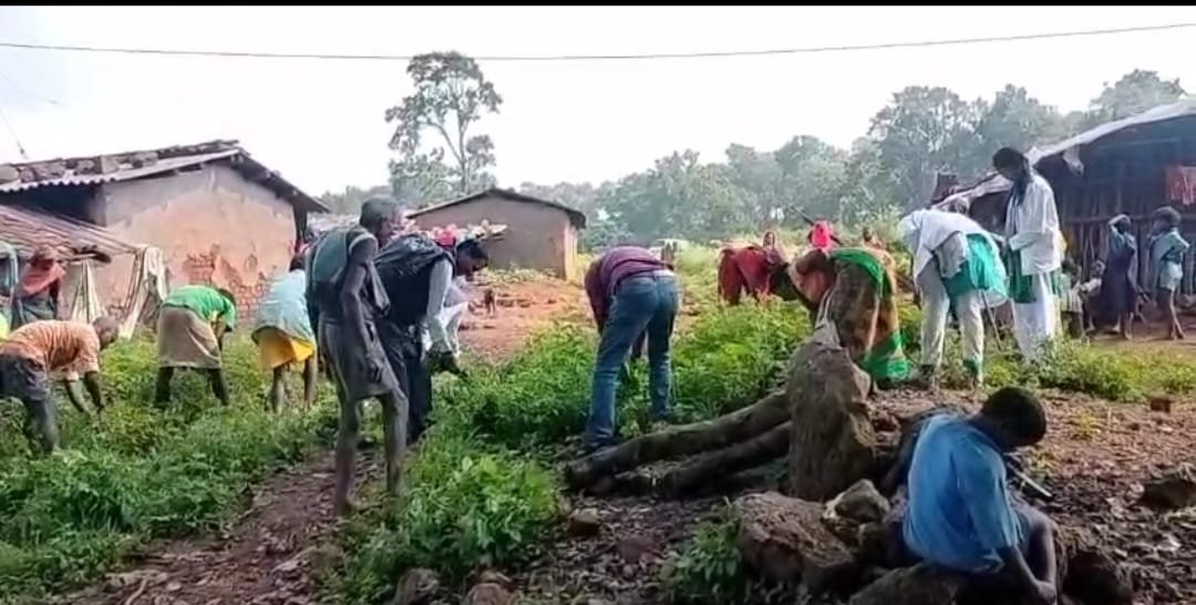 20250719210341_health department