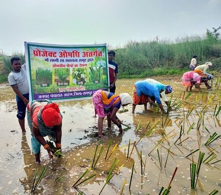 20250720113824_news 01