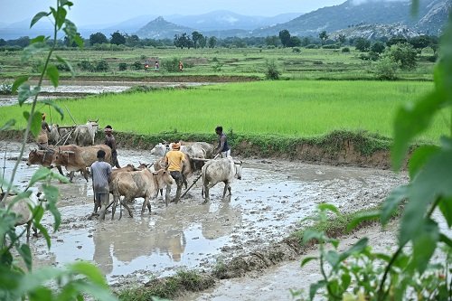 20250728104436_jjjjjjjjjj