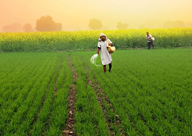 PM Kisan Scheme