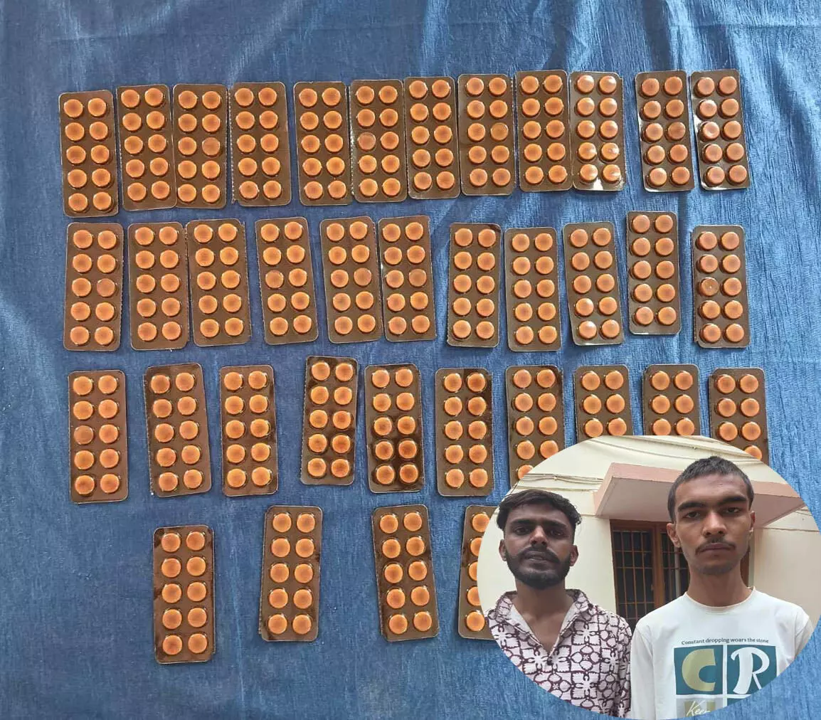 4718325-untitled-40-copy