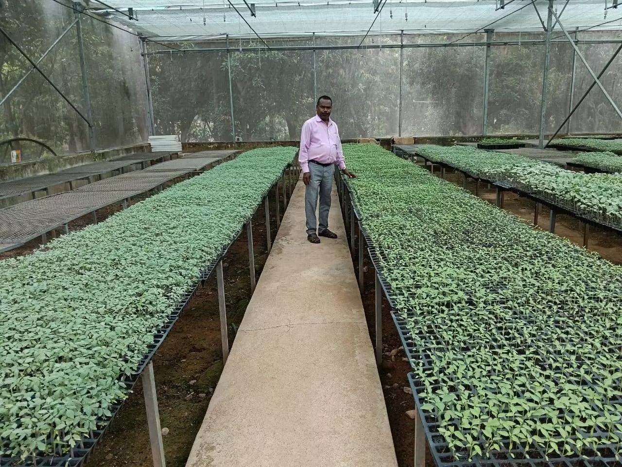 4725872-untitled-38-copy