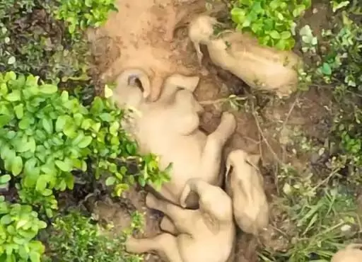 4732577-untitled-14-copy