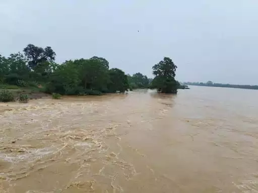 4737754-untitled-16-copy