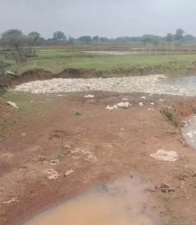 4745842-untitled-36-copy