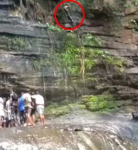 4747787-untitled-32-copy