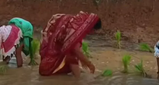 4748584-untitled-57-copy