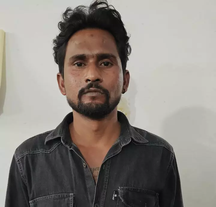 4758861-untitled-26-copy