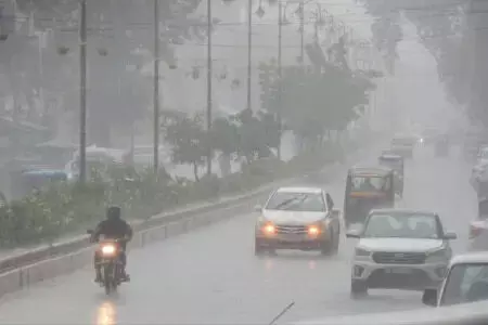 4758978-untitled-32-copy