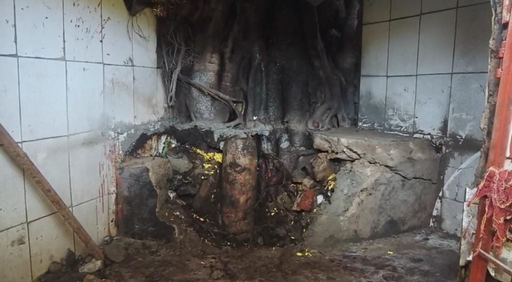 WhatsApp-Image-2025-07-04-at-2.40.52-PM-1024x564