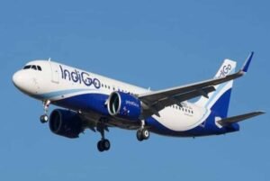 indigo154-1.jpg