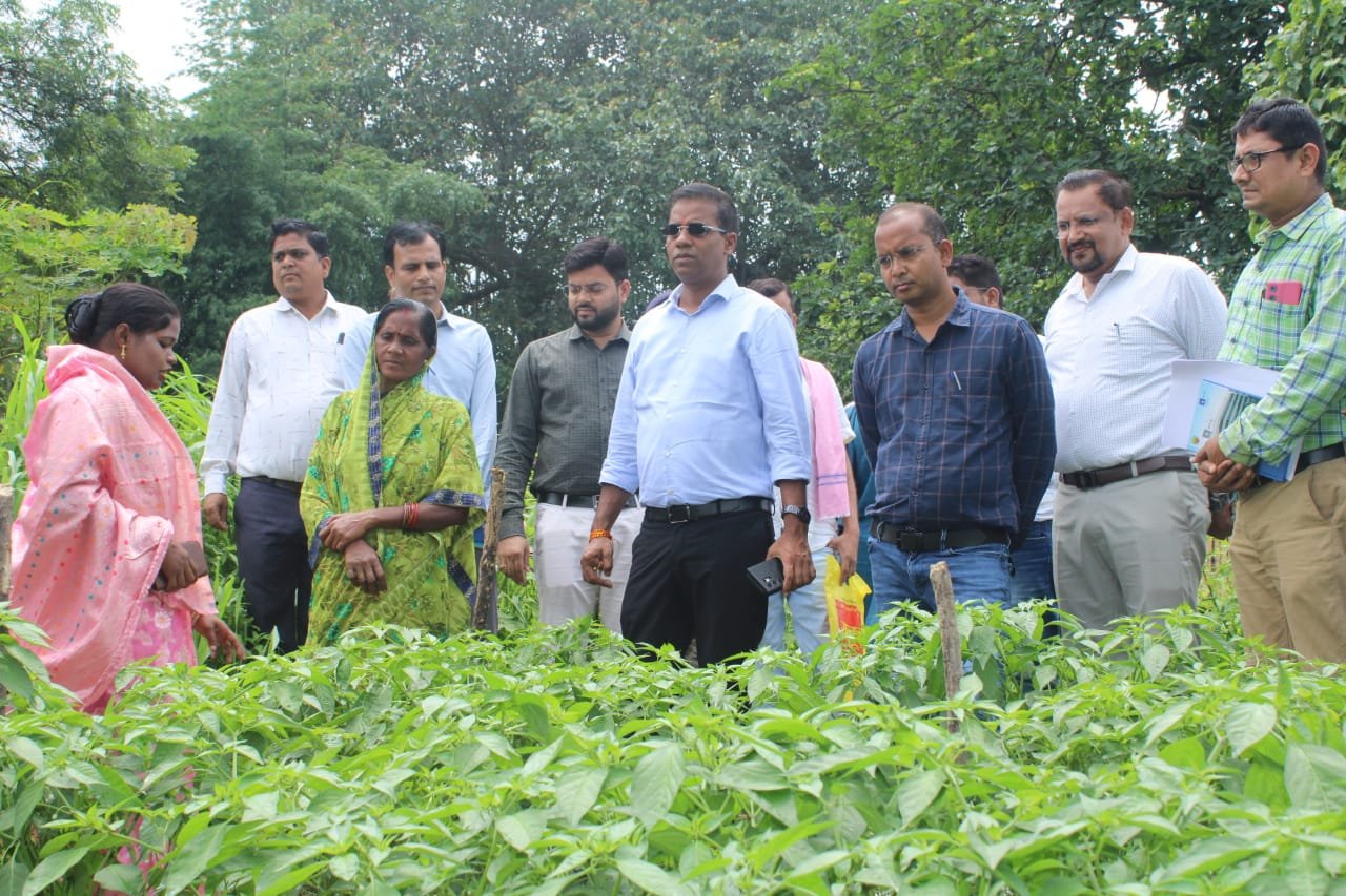 1754308377_29344fd95b75ce9aaef6