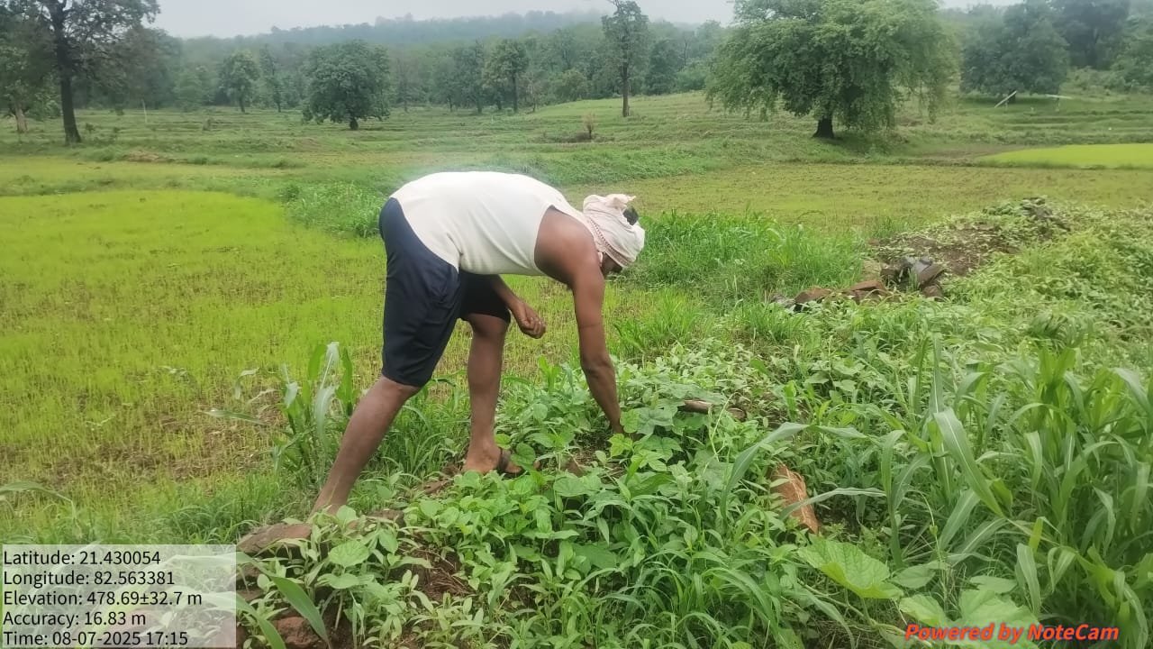 1754311216_30ef8dc44329f4c6ee78