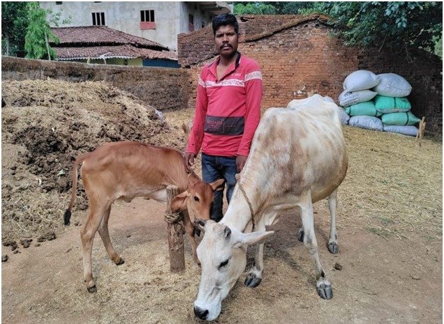 1756053071_09fb345178a6aff0ee36