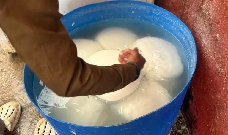 20250806143134_paneer