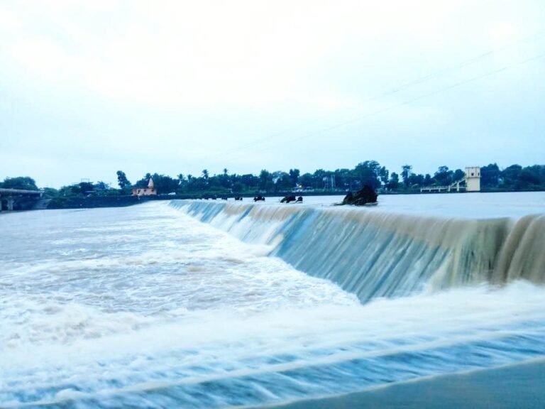 राजनांदगांव : कई वर्षों बाद खुले मोहारा एनीकट के सभी 35 गेट