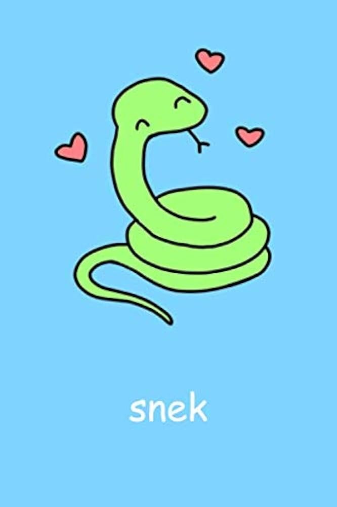 31Ca4JPM8IL._UF894,1000_QL80_