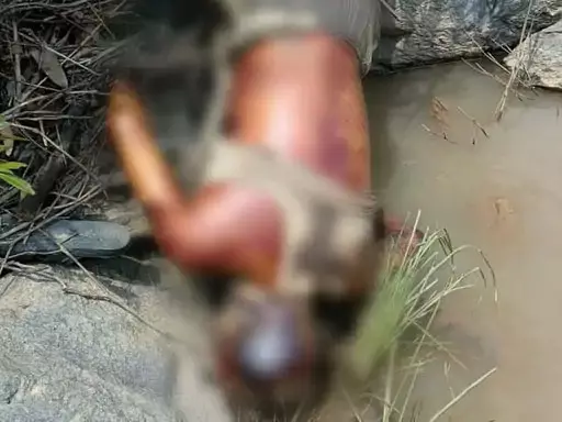 4815739-untitled-46-copy