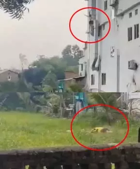 4819636-untitled-44-copy