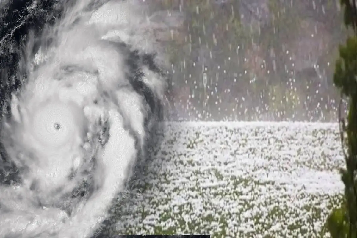 Weather Update Today: भारतीय मौसम विभाग (IMD) ने बताई मध्यप्रदेश-छत्तीसगढ़ में भारी बारिश, बंगाल की खाड़ी में उठा साइक्लोनिक सर्कुलेशन