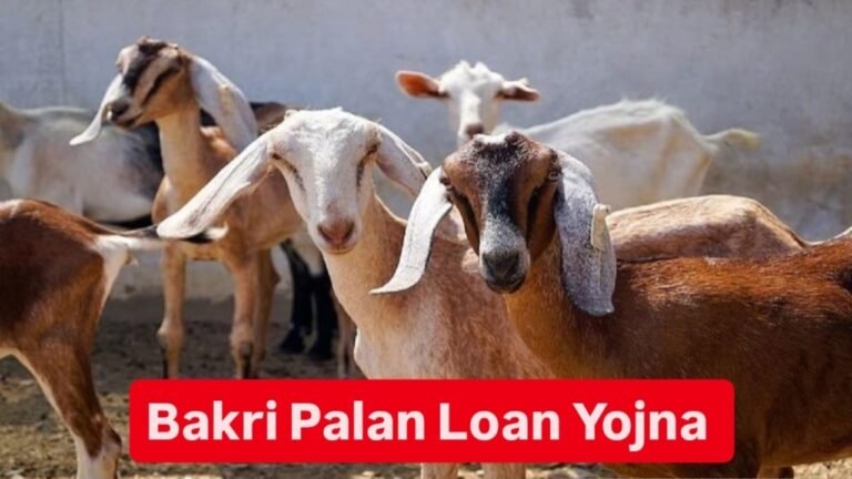 Bakri Palan Business Loan