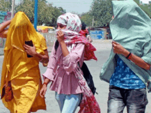 Bilaspur Weather Update