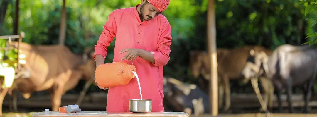 Dairy Farm Loan Apply