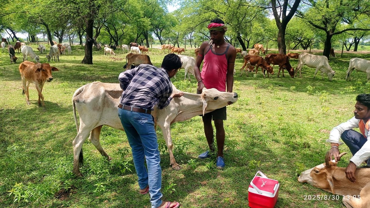 1756639862_4ccd6b29bb025af3f768