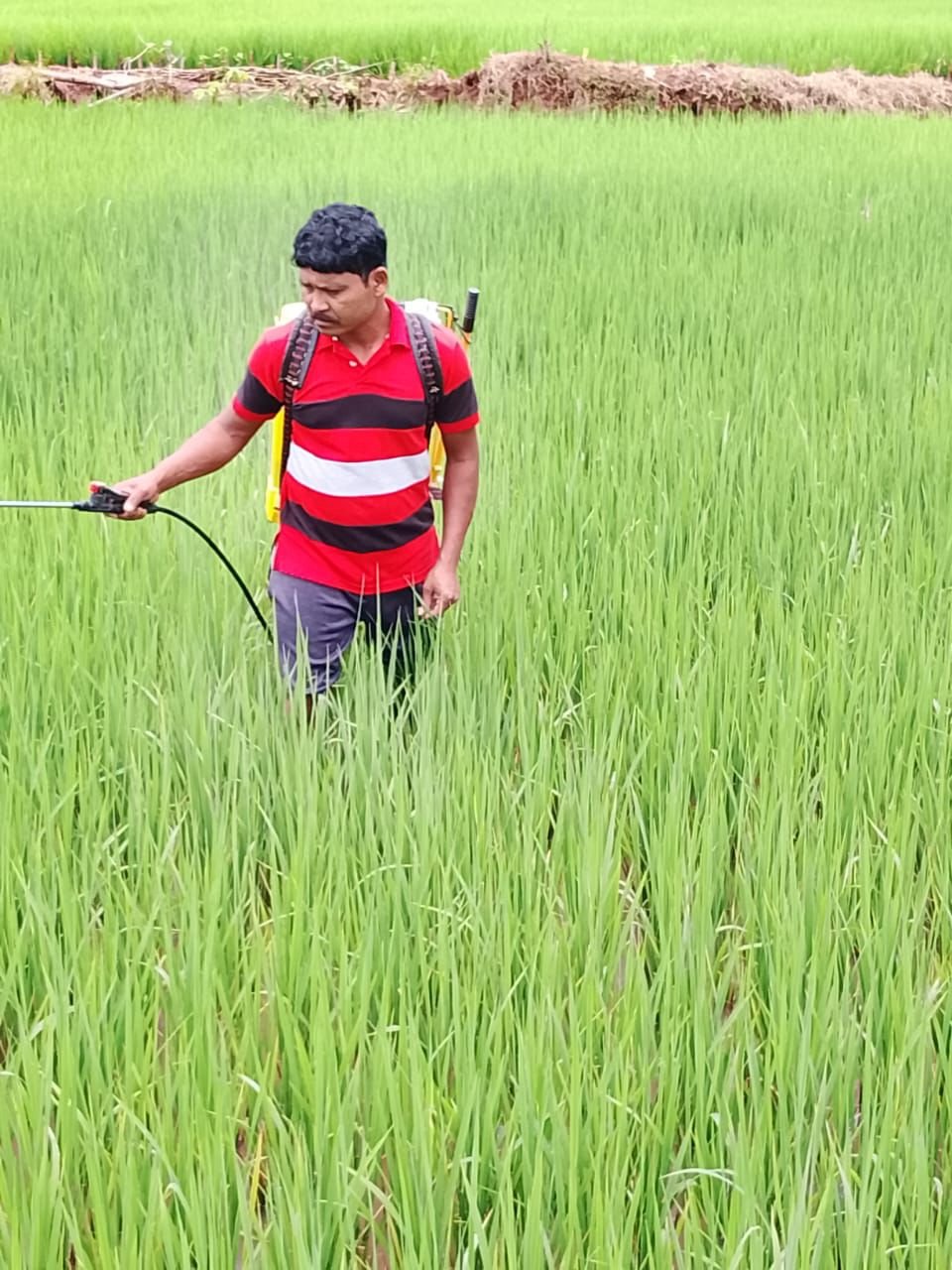 1756729827_64db1d217cb47b11603b