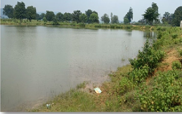 1757673321_11e5946681cf5ee5270a