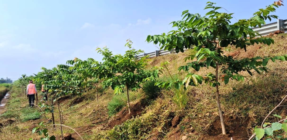 1758293421_f58e301247ff794d21c9