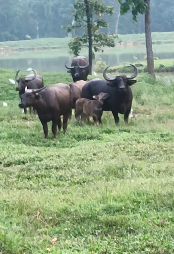 1758635682_dd20a67e347f37055564