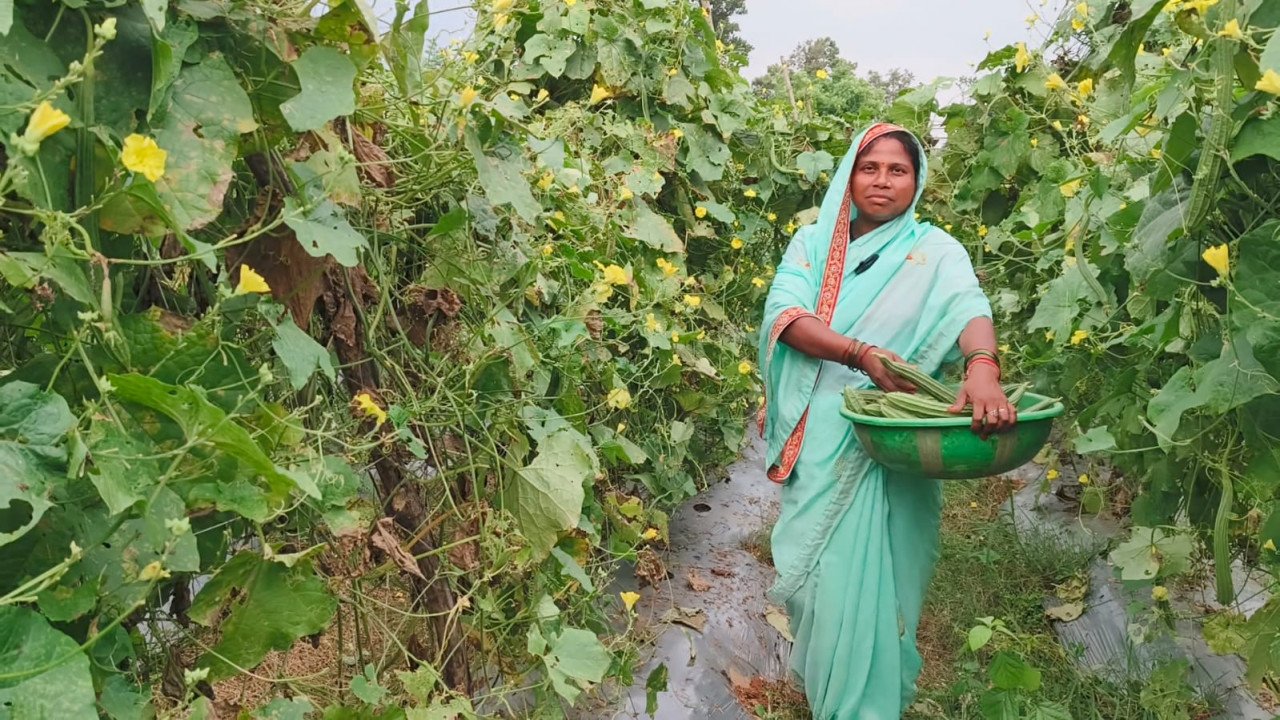 1759067482_e5f88add391512bd0713