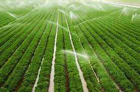 2025-09-10-04-28-56-21