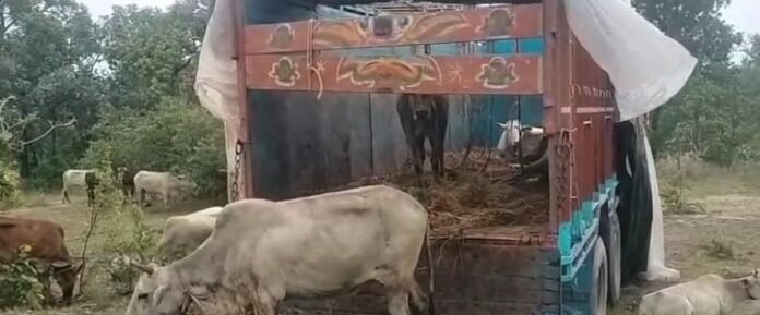 20250923155146_taskari