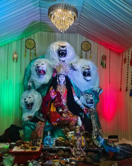 206_175907060468d9498c3eaf2_28006