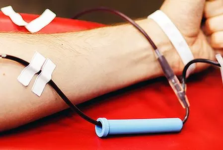 4907653-untitled-31-copy