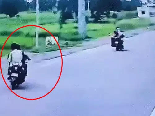 4909637-untitled-5-copy