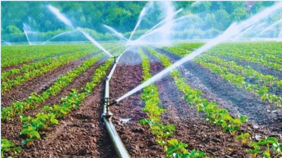 666e72b5b94f2-irrigation-subsidy-160556748-16x9