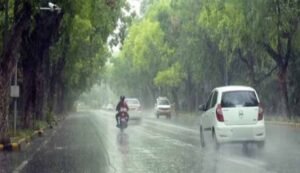 barish8-1.jpg