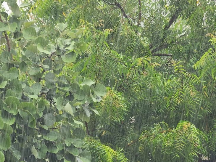 cced1c41-8998-4a6c-a7f3-29b8abac4403_1691330437506