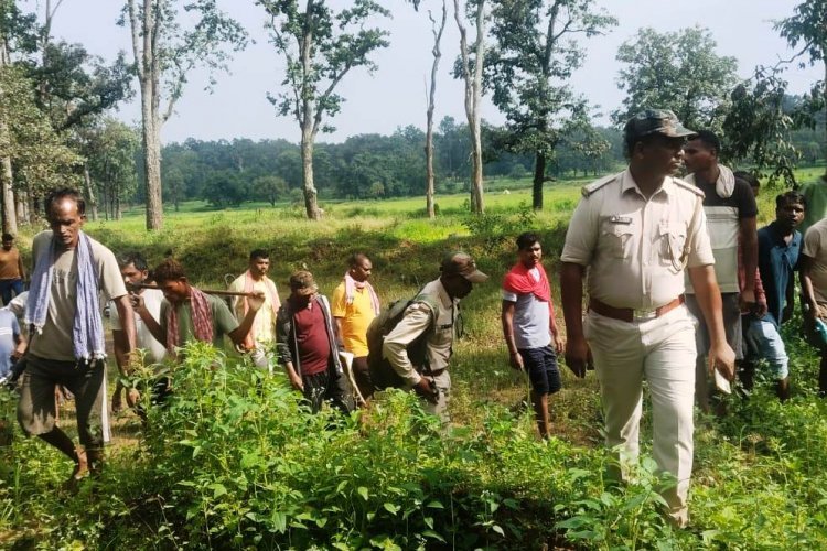 image_750x500_68c12a6c83fb8