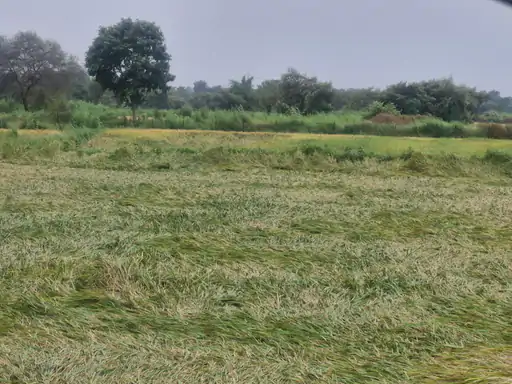 206_17616529256900b0bd4530a_03