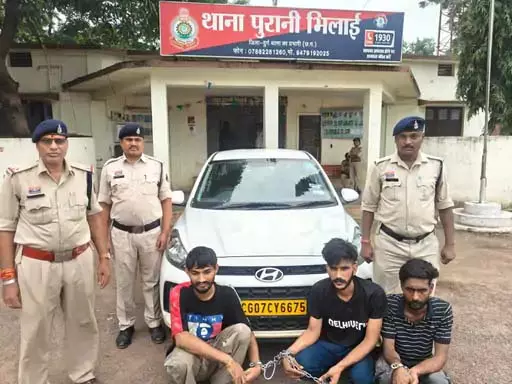 4917801-untitled-8-copy