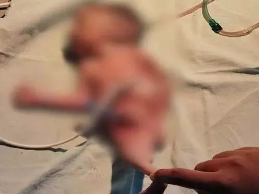 4918749-untitled-37-copy