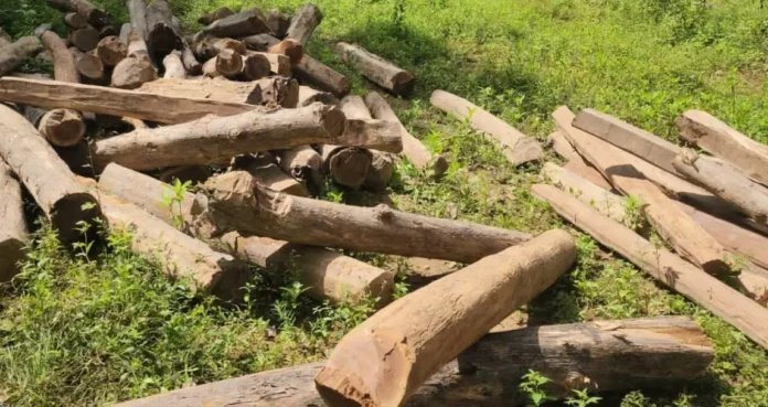 4958096-untitled-21-copy